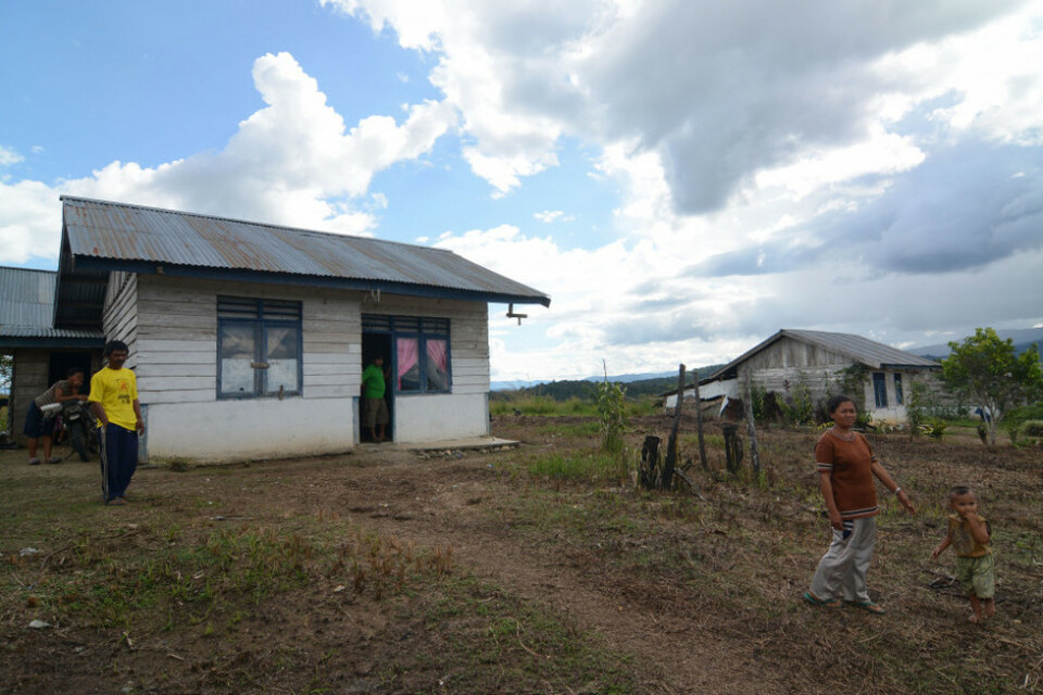 Ilustrasi transmigran. (Antara)